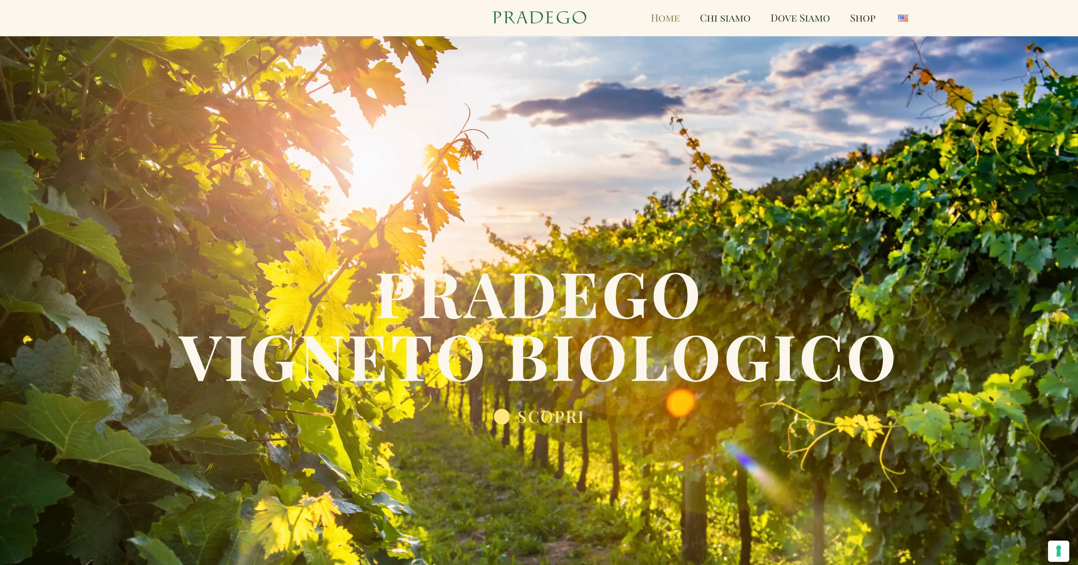 pradego website
